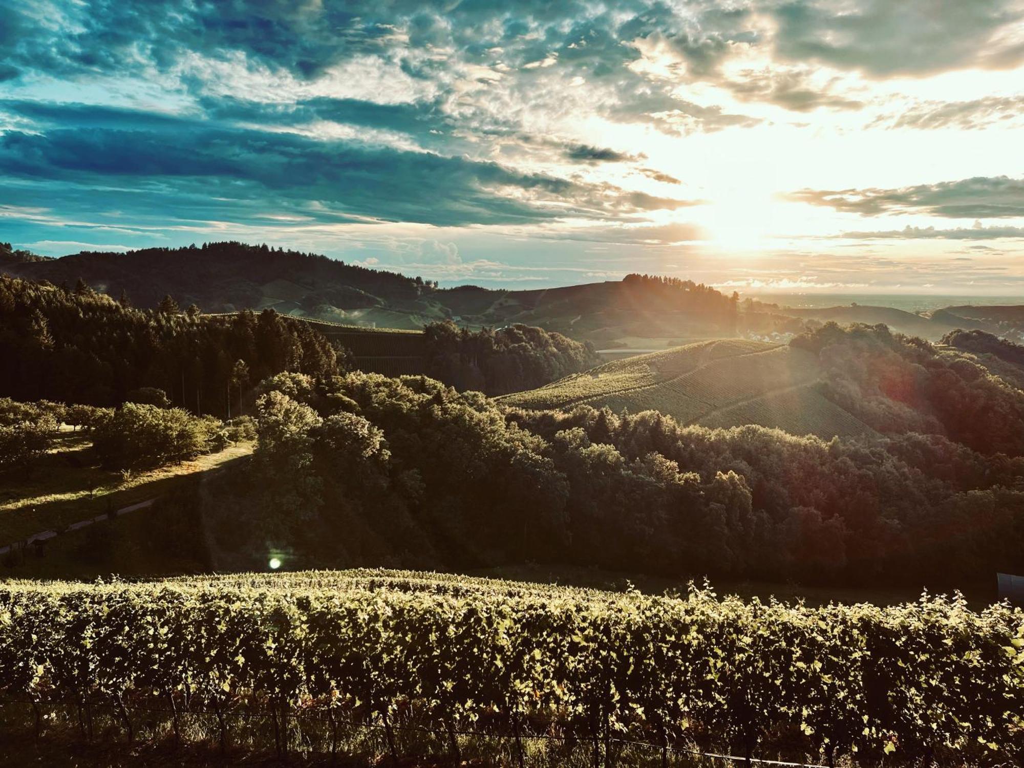 Ferienapartment Huber Oberkirch  Bagian luar foto